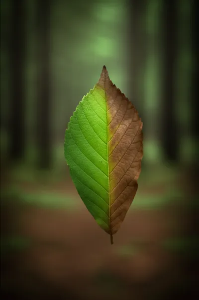 Illustration imperceptibly