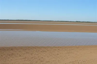 Illustration warping - Image 1