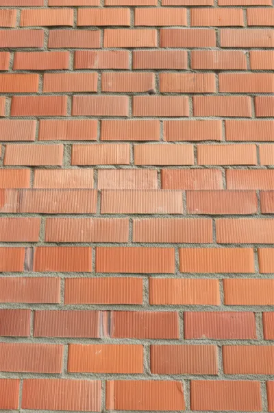 Illustration artifact - Image 1