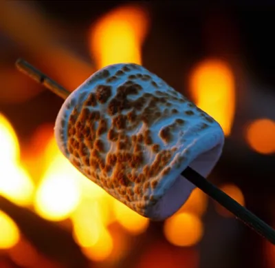 Illustration chars - Image 1