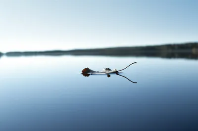 Illustration still - Image 1