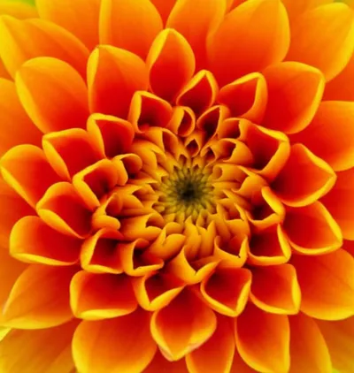 Illustration cyclic - Image 1