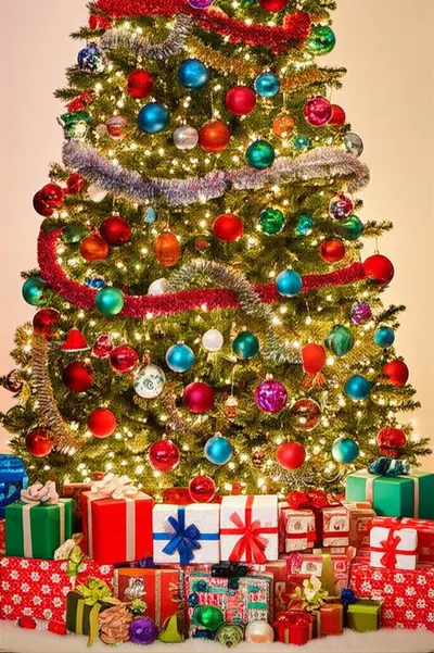 Illustration decked - Image 1