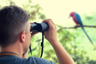 Hình ảnh minh họa obs - Ảnh 1