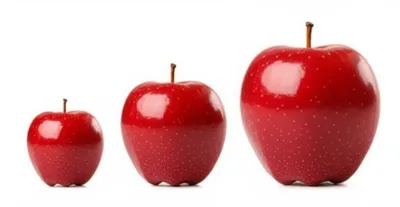 Hình ảnh minh họa resize - Ảnh 1