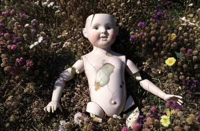 Illustration buggery - Image 1