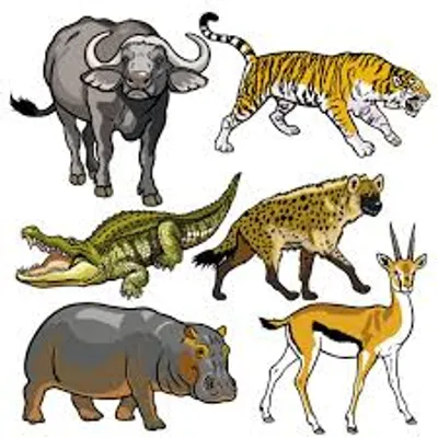 Illustration beast - Image 2