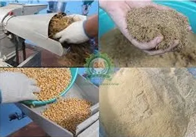 Illustration ground - Image 2