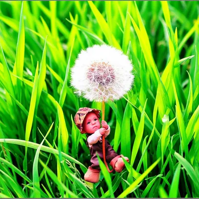 Illustration mite - Image 1