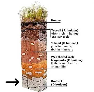 Illustration bed - Image 2