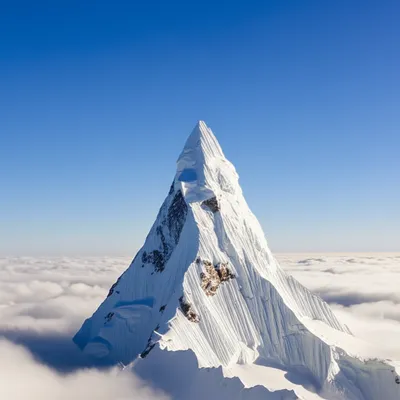 Illustration high - Image 1