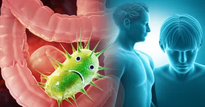 Hình ảnh minh họa cryptosporidium