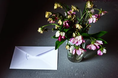 Illustration lapse - Image 1