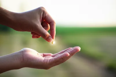 Illustration grant - Image 1