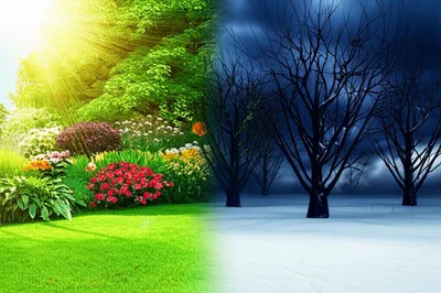 Illustration contraries - Image 1