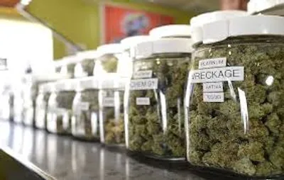 Illustration dispensary - Image 2