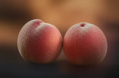 Illustration bottoms - Image 1