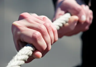 Illustration grapple - Image 1