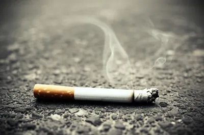 Illustration nic - Image 1