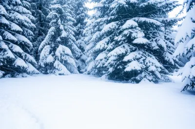 Illustration white - Image 1