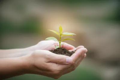 Illustration propriety - Image 1