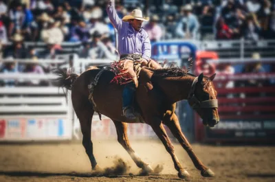 Illustration rodeo - Image 1