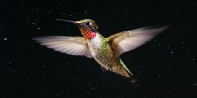 Illustration flicks - Image 1