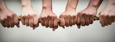 Illustration clutch - Image 1