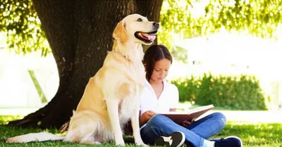 Illustration manned - Image 1