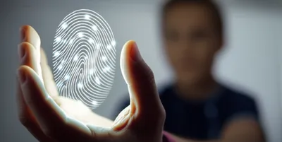 Illustration diagnostics - Image 1