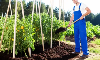 Illustration mucked - Image 1