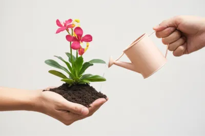 Illustration interests - Image 1