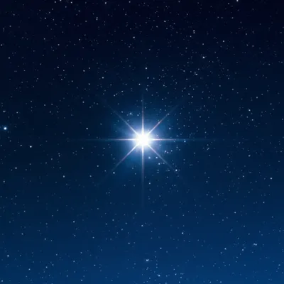 Illustration aster - Image 1