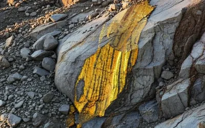 Illustration crop - Image 1