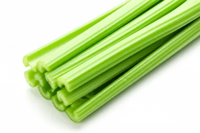 Illustration rib - Image 1