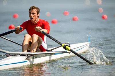 Illustration crab - Image 1