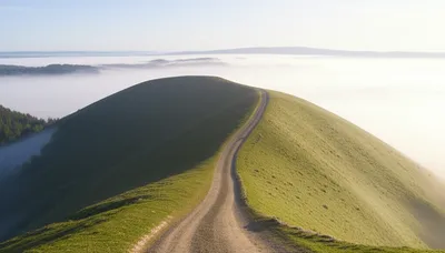 Illustration downcurved