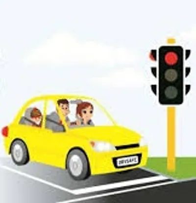 Illustration observance - Image 3