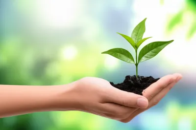 Illustration profit - Image 1