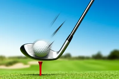 Illustration skull - Image 1