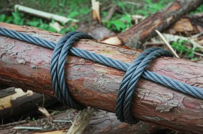 Illustration choker - Image 1