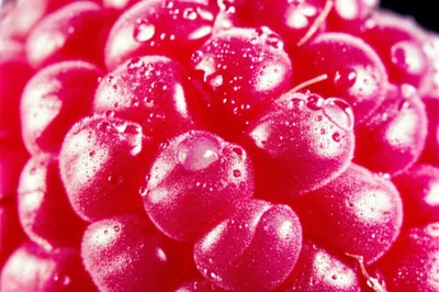 Illustration pricking