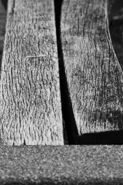 Illustration woodsy - Image 2