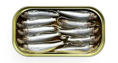 Illustration crowds - Image 1