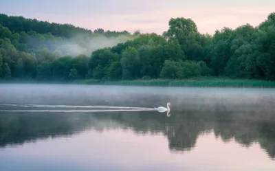 Illustration unruffled - Image 1