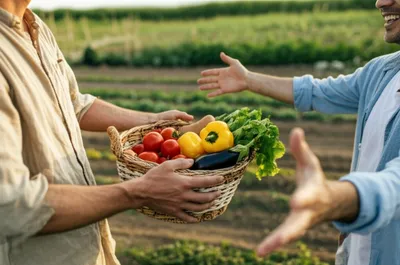 Illustration requite - Image 1