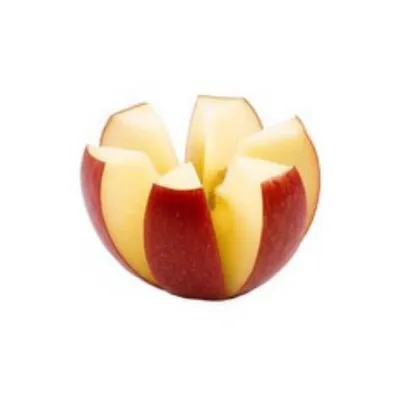 Illustration quartering - Image 1