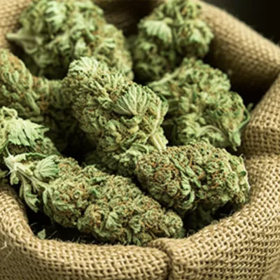 Illustration draw - Image 1