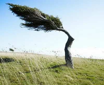 Illustration bending - Image 1