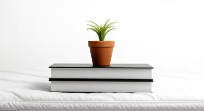 Illustration bedding - Image 1